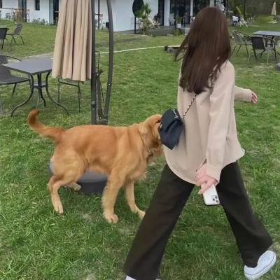 黑衣马术师传奇
